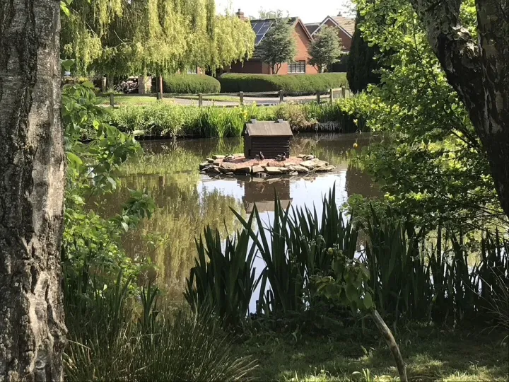 Hankelow Village Pond