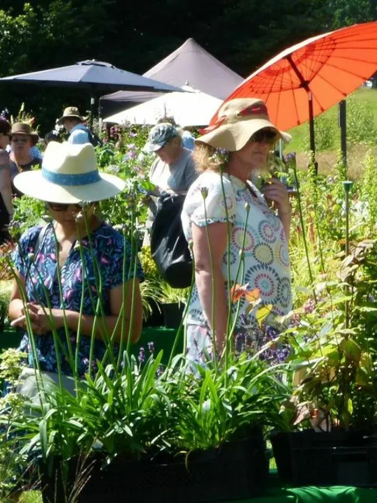 Plant Fair