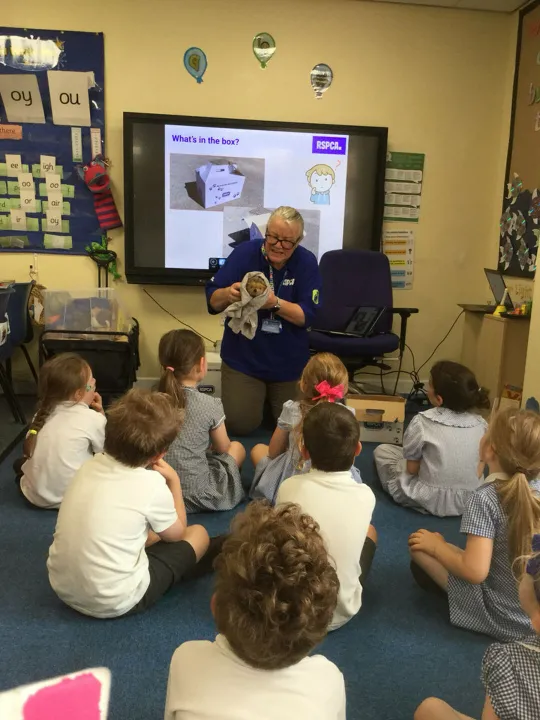 8c04d1aff4f646c6aeceb0abefa529eb