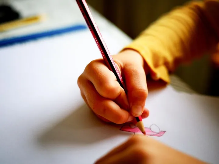 School, child, draw, paint, teaching, training, school, school, school, school, school