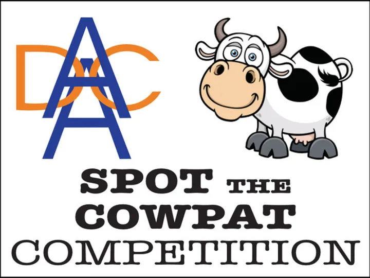 Cowpat Competition 1024 X 768