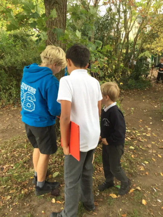 4edab476d6164ed49df06b07f4bd84b8