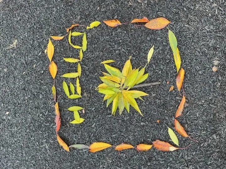 Fs