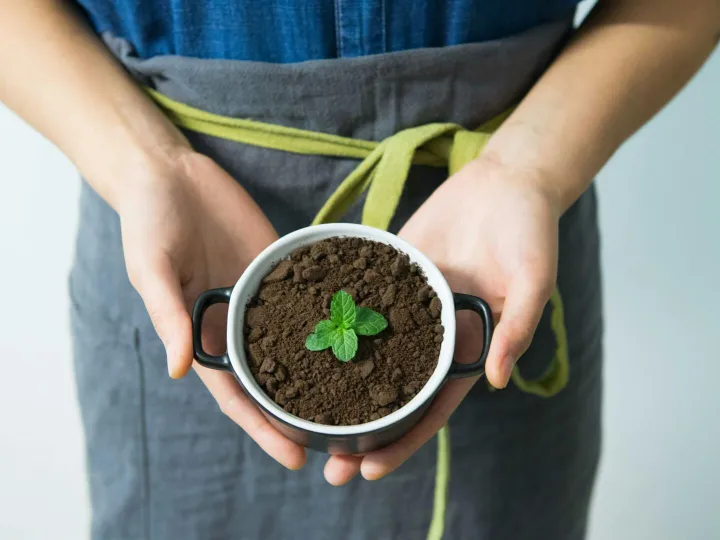 Close-up of hands holding a pot with soil and a