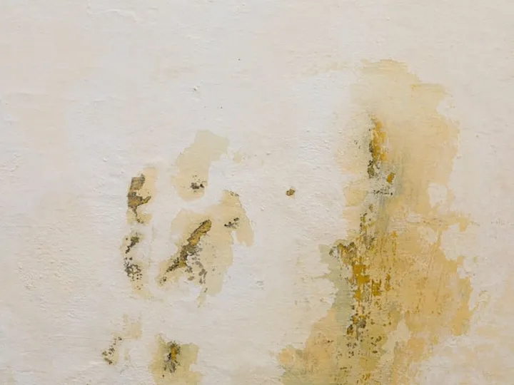 Coarse concrete surface with stains