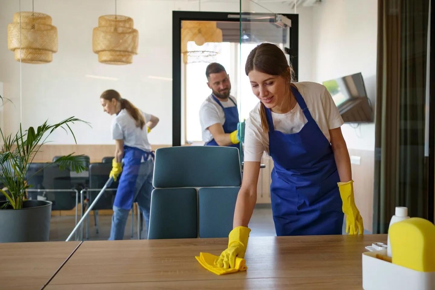 BeFresh cleaners at work in a bright living space