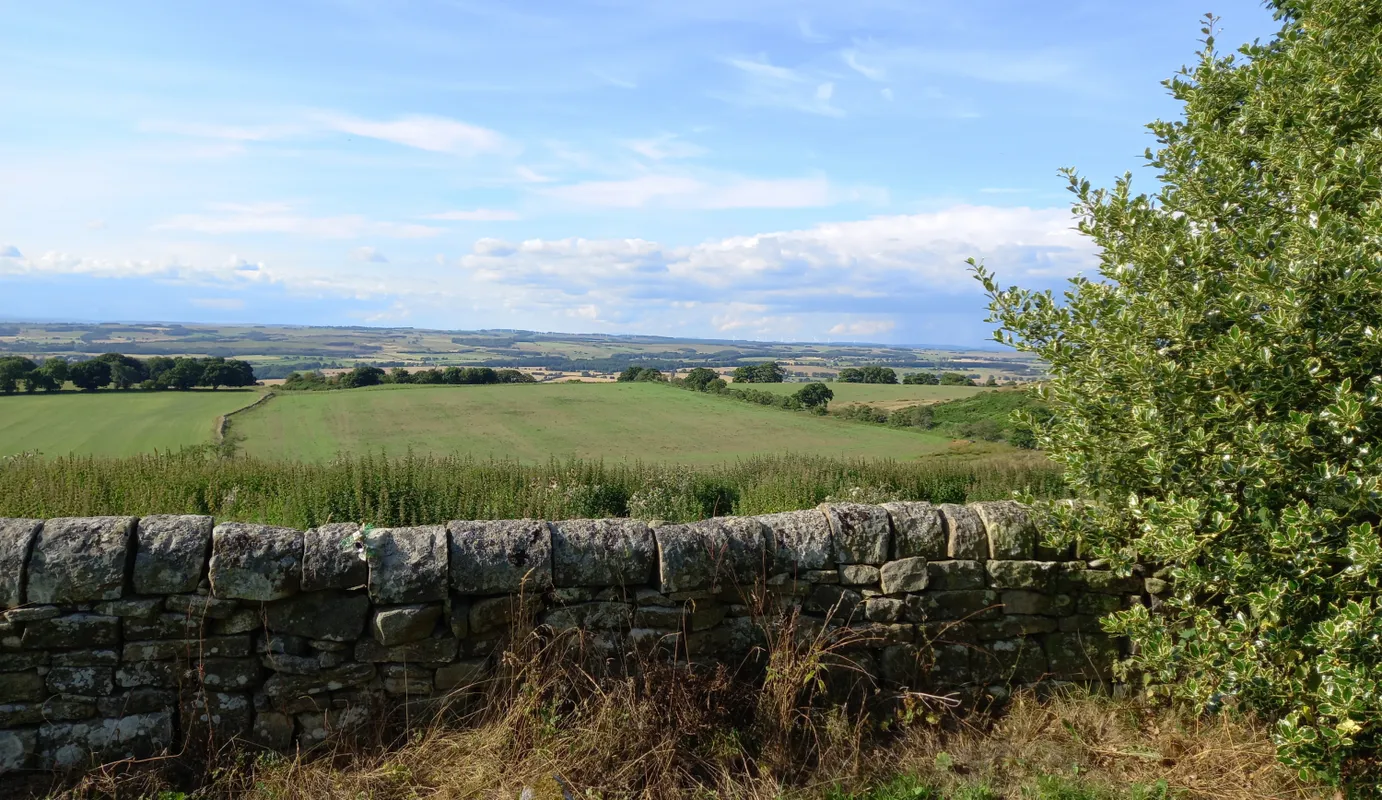 Heavenfield3