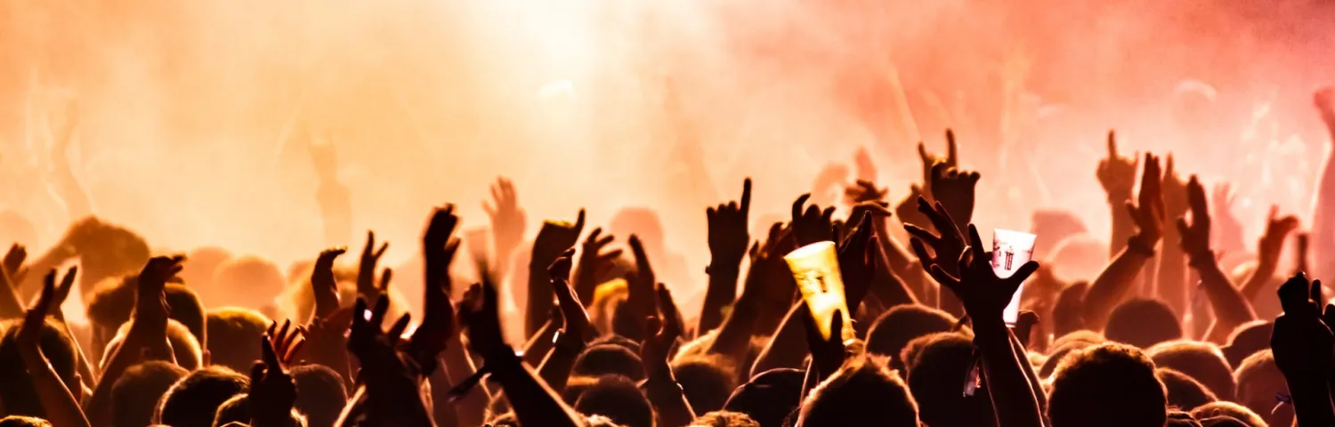 Concert Goers