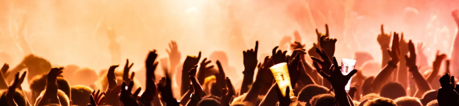 Concert Goers
