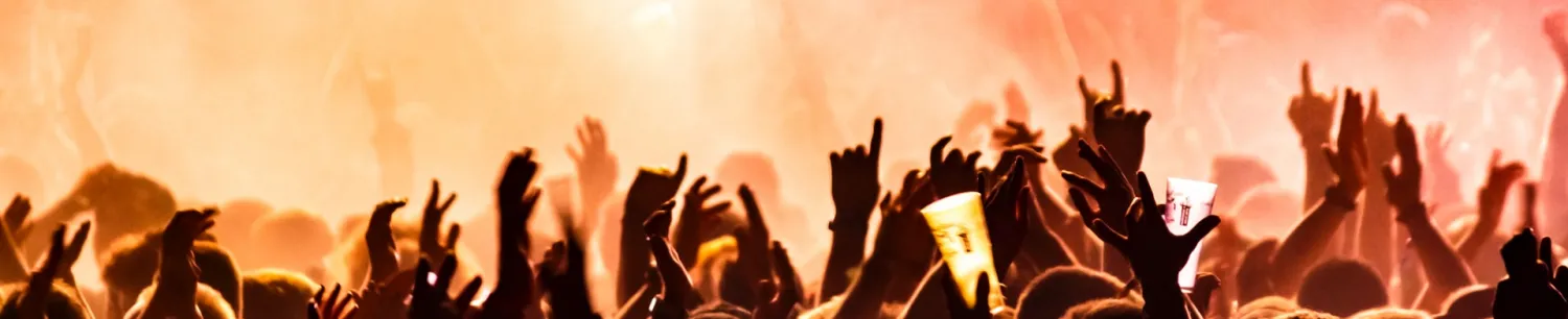 Concert Goers