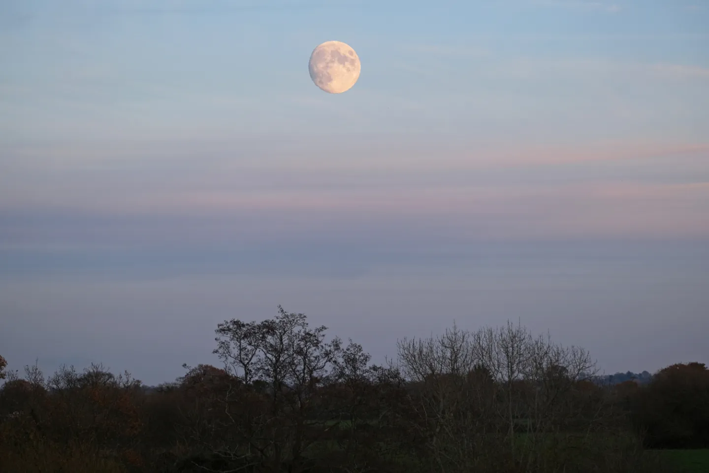 Winter Moon