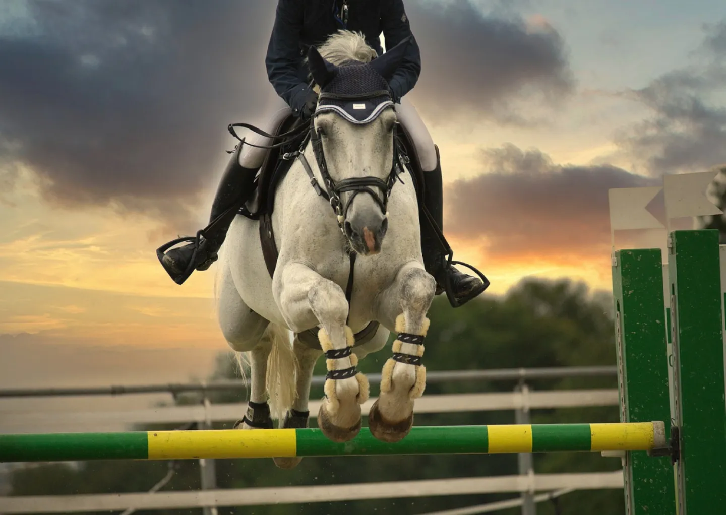 Jumping horse, equestrian, horse riding