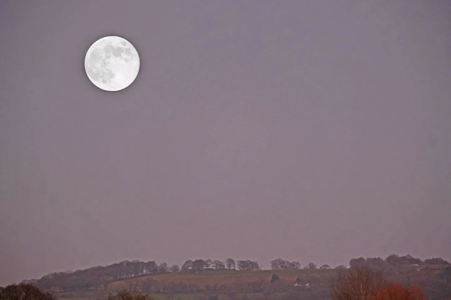 # Wolf Moon F8961