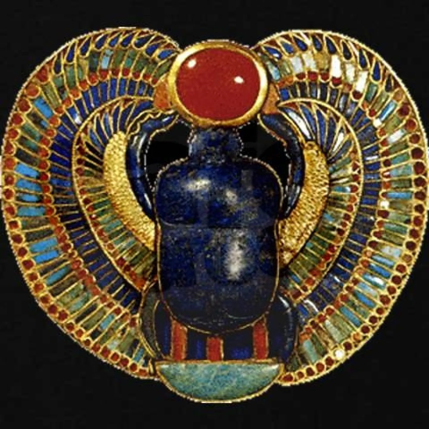 scarab beetle