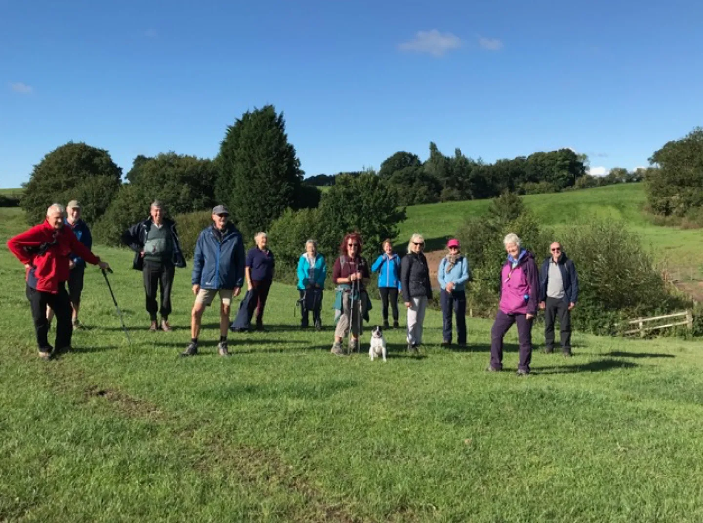 ARS Resumes Walks
