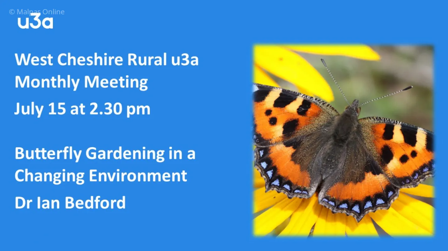 U3a July 2021 Butterfly Talk