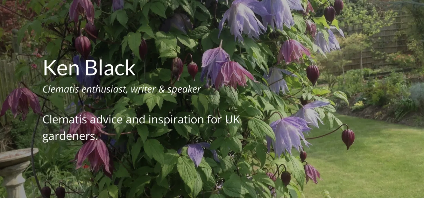 DC6B9751-D47C-4BAB-99B2-8EFC72E6229A