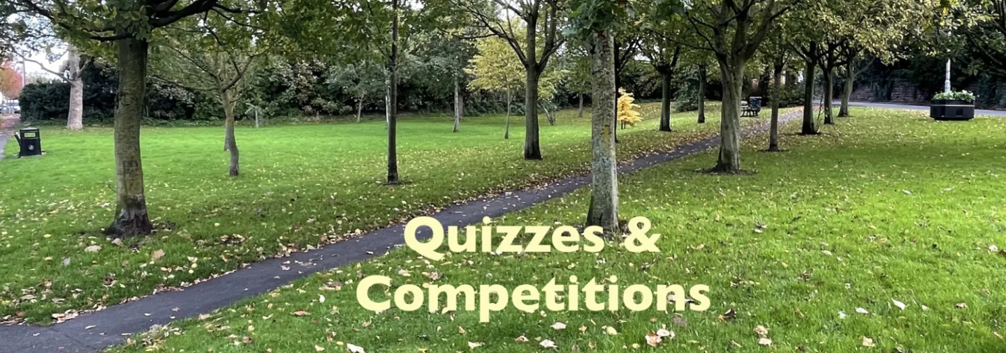 Quizzes banner