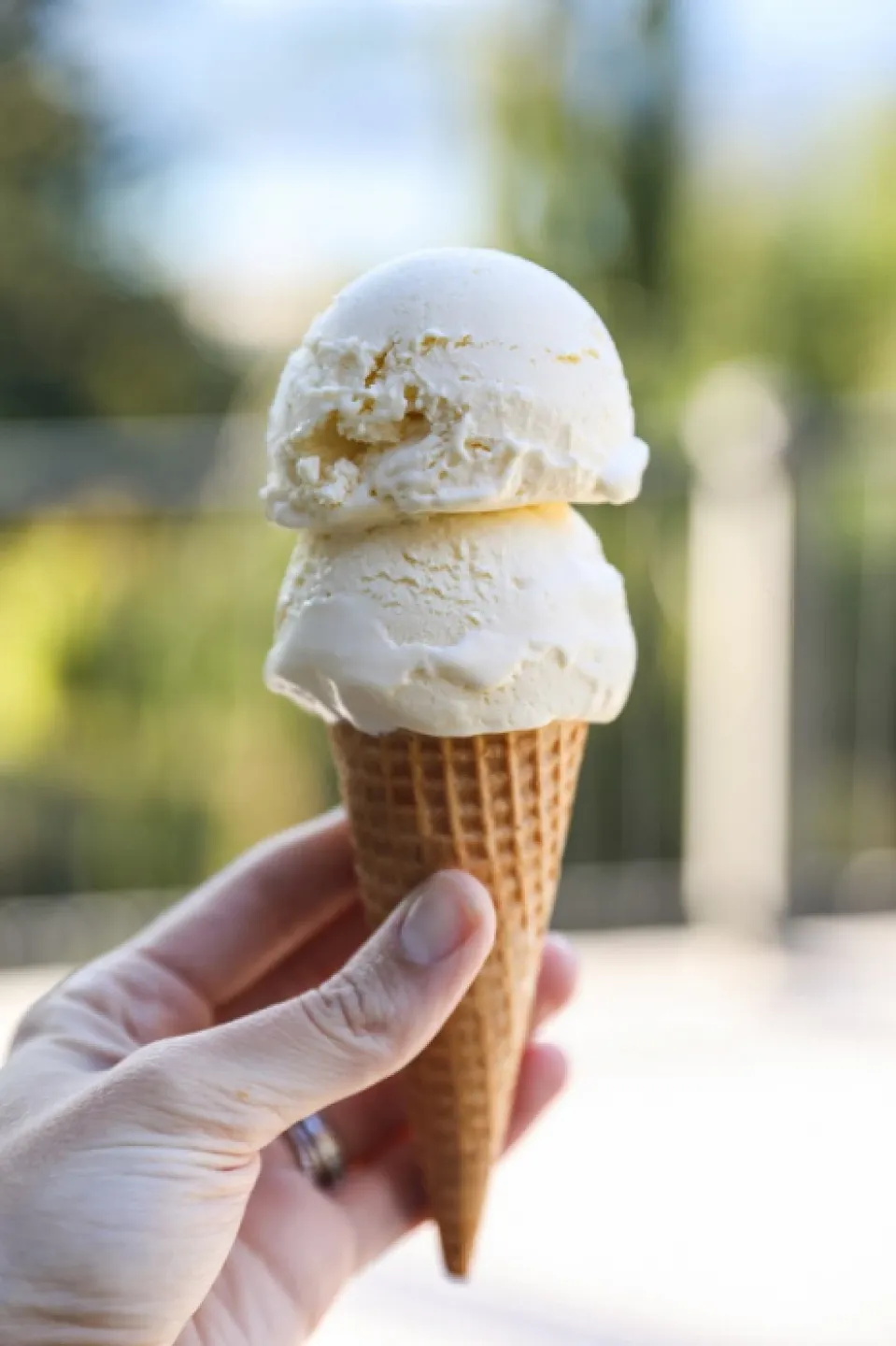 Vanilla ice cream 5 copy