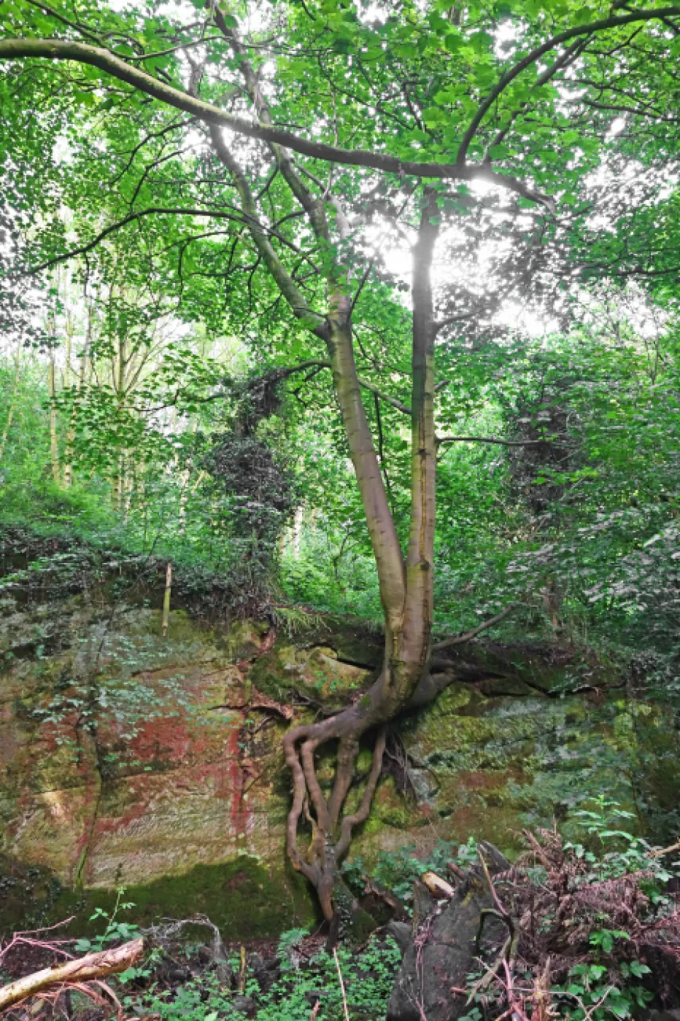 rr Life on the Edge-1_s02449