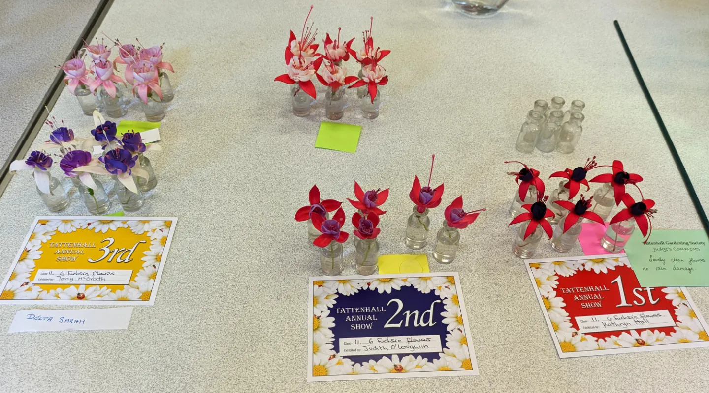 #_Showtime!_PXL_135142403