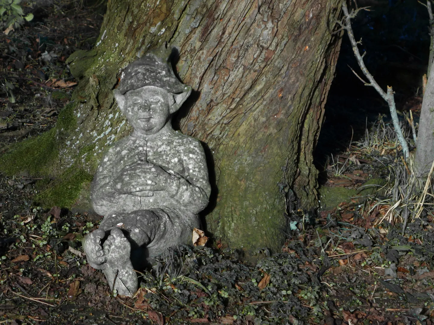 RR Asleep in The Sun S02670