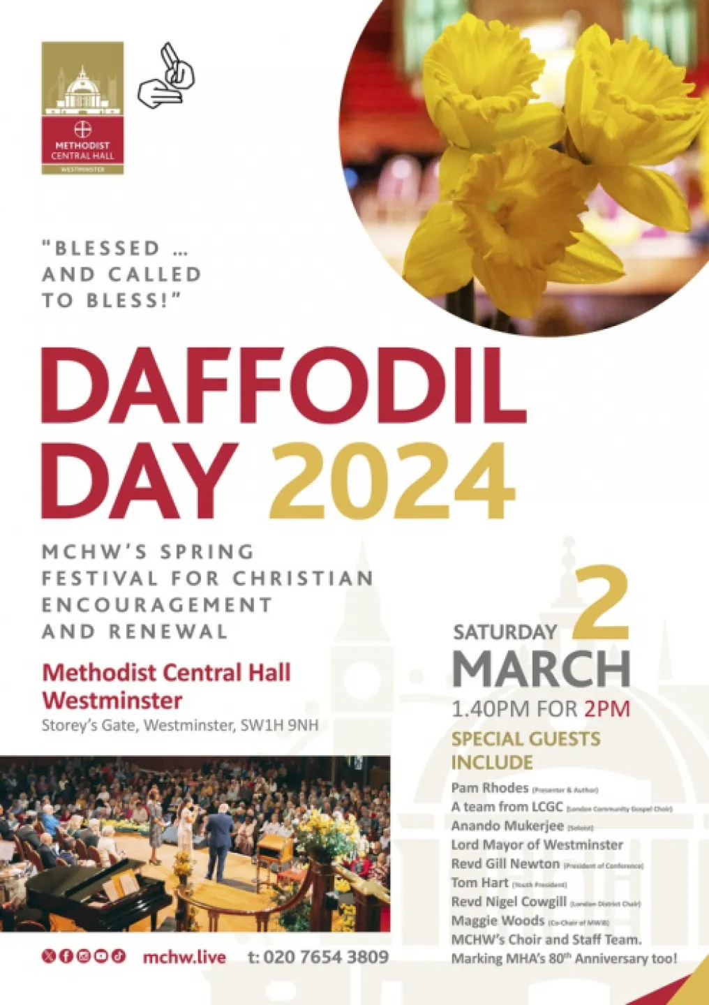 Amc Daffodill Day 2024
