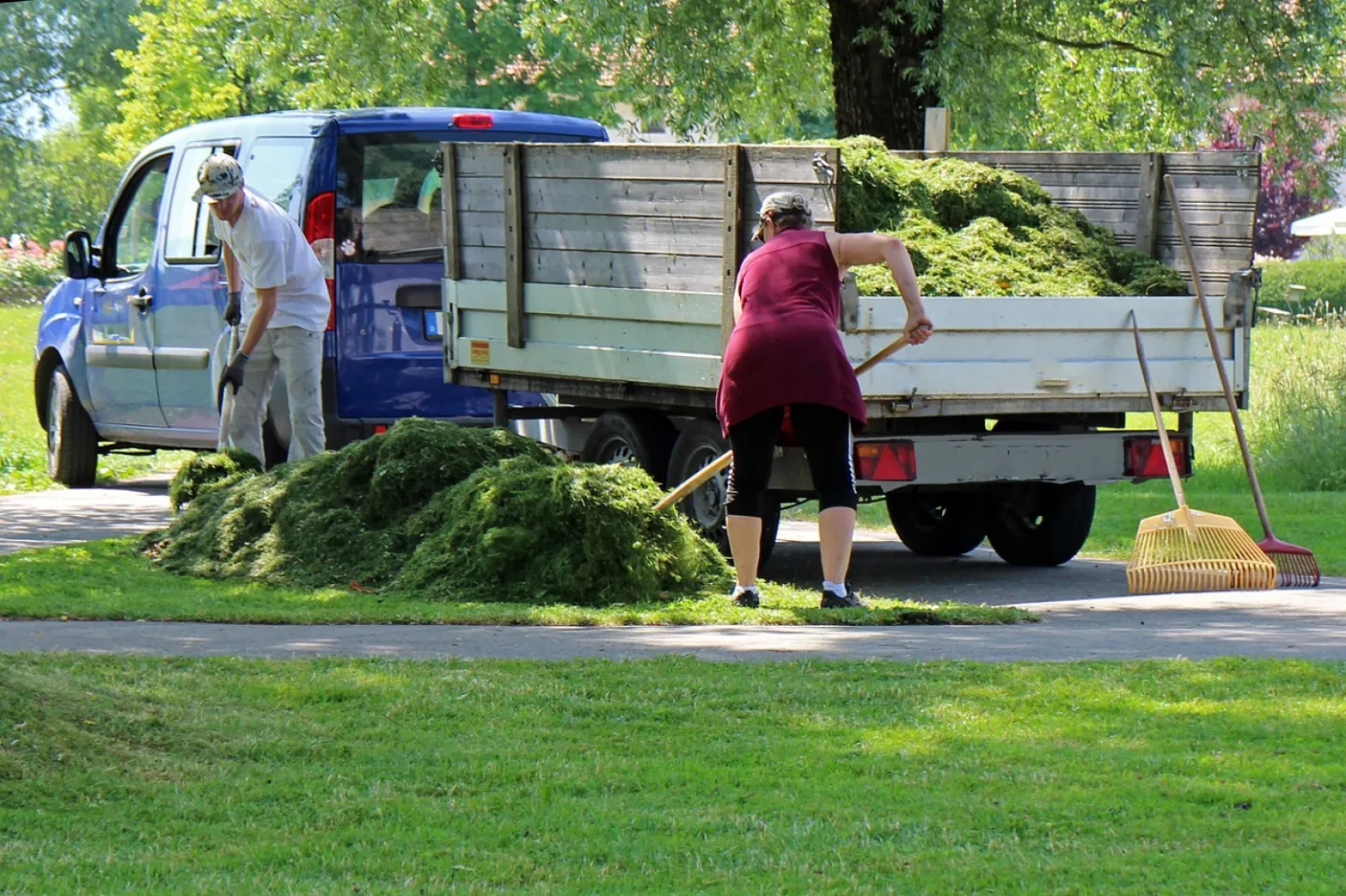 Landscaper, gardener, gardening