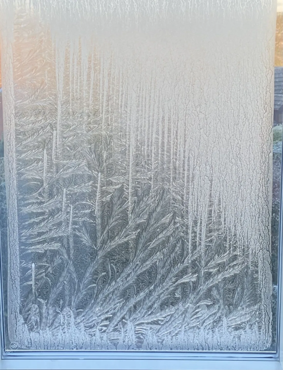 Frosty Window