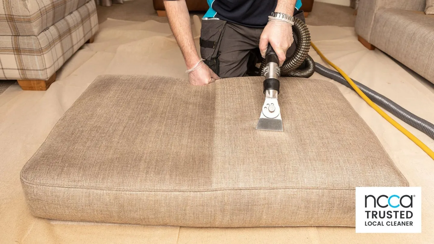 Upholstery Cleaning