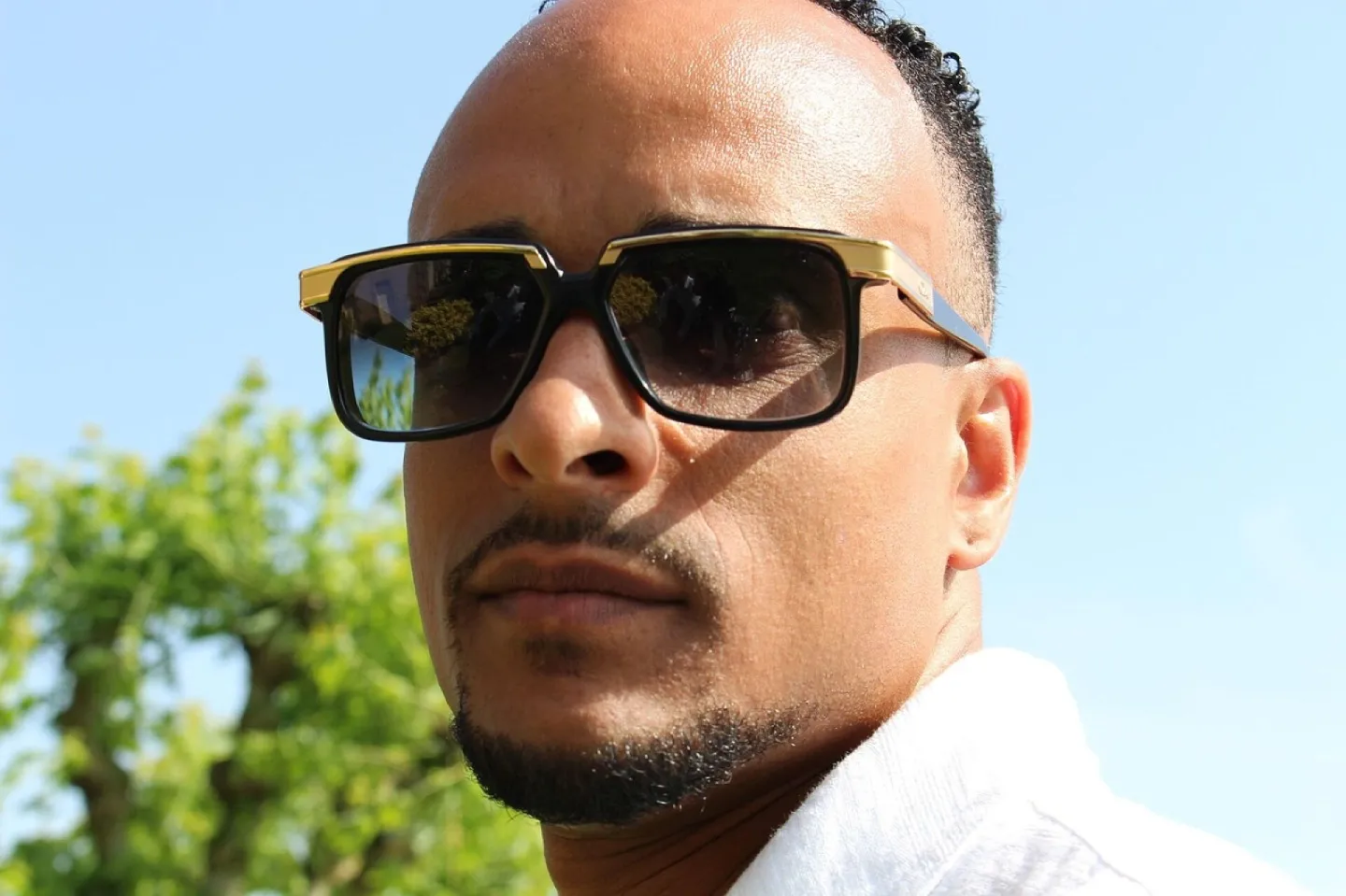 Man, ale portrait, professional, sunglasses