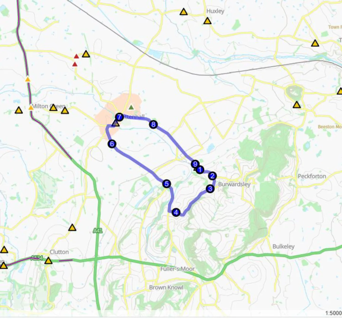 Tro21612 Burwardsley Road-2