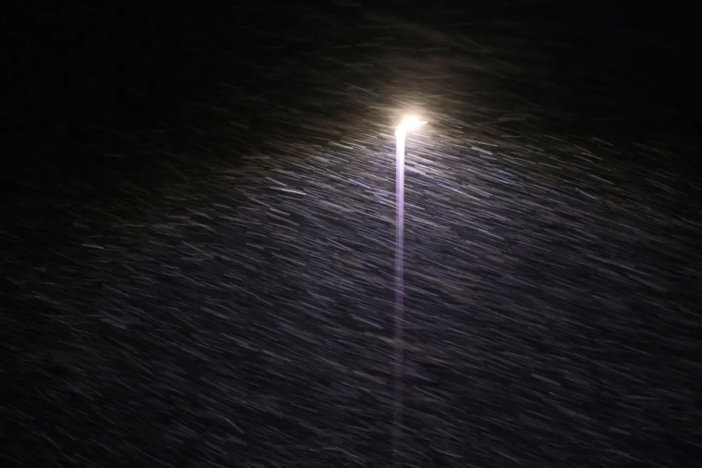 # Storm Goretti F9009