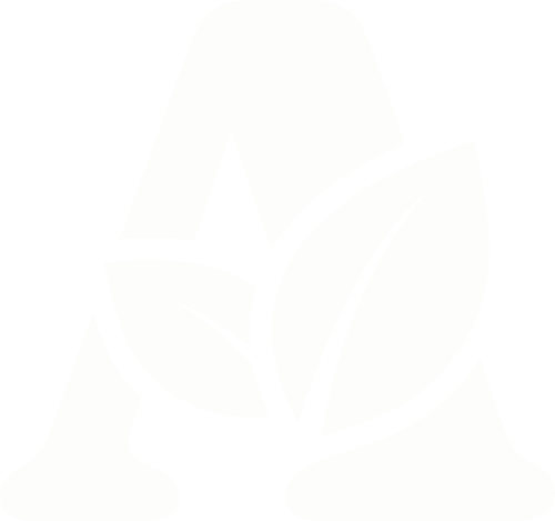 A &ndash; Transparent White