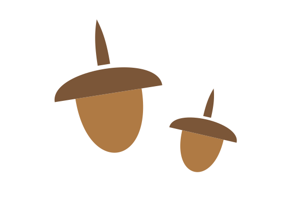 Two hand-drawn acorns