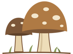 Two hand-drawn mushrooms