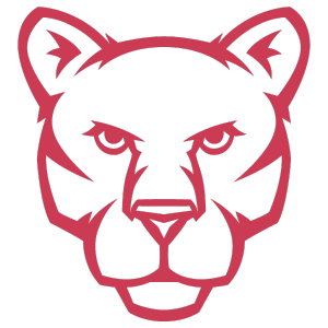 Mascot Hire
