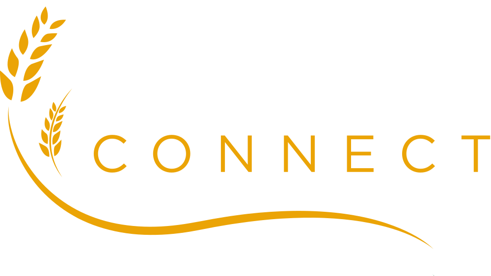 Cultura Connect Logo