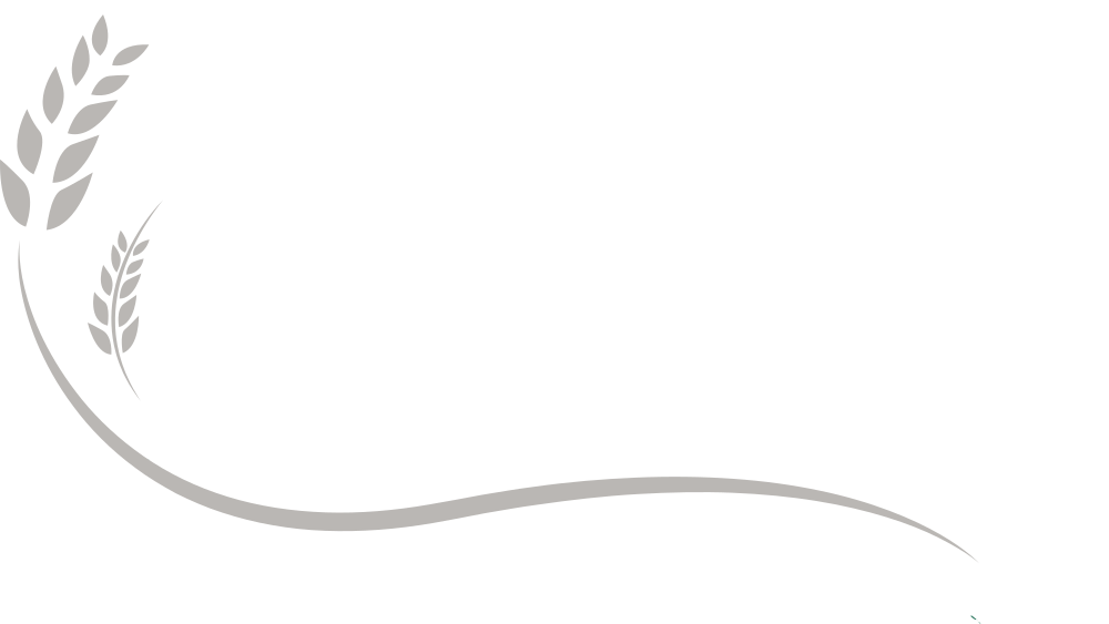 Cultura Connect Exclusive Logo