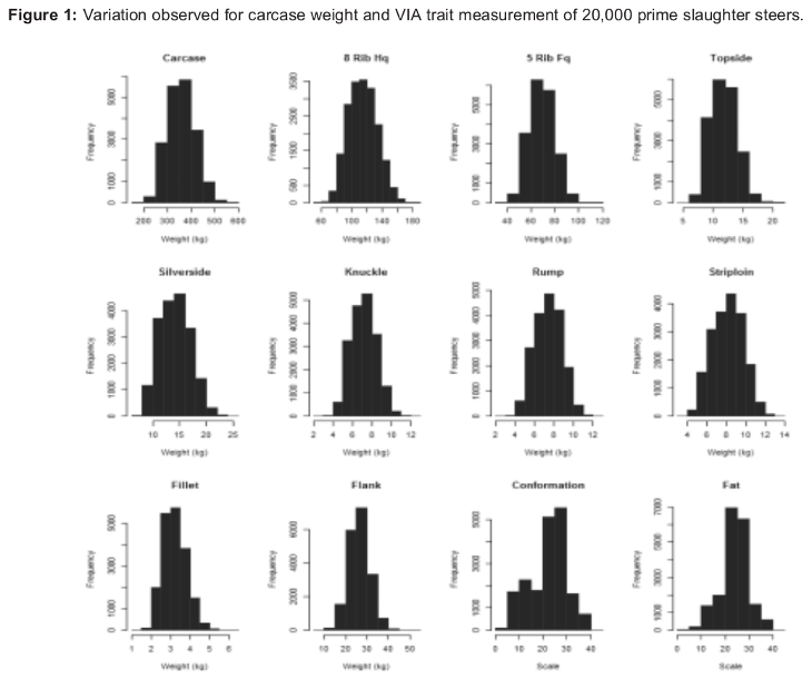 Image 1 from the paper Using video image analysis (VIA) to assess abattoir carcase yields and produce genomic breeding values (GEBV) for genetic improvement of beef carcase traits