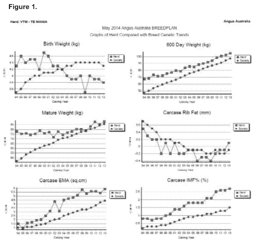 Image 1 from the paper Applications of genetic technology in breeding better beef cattle