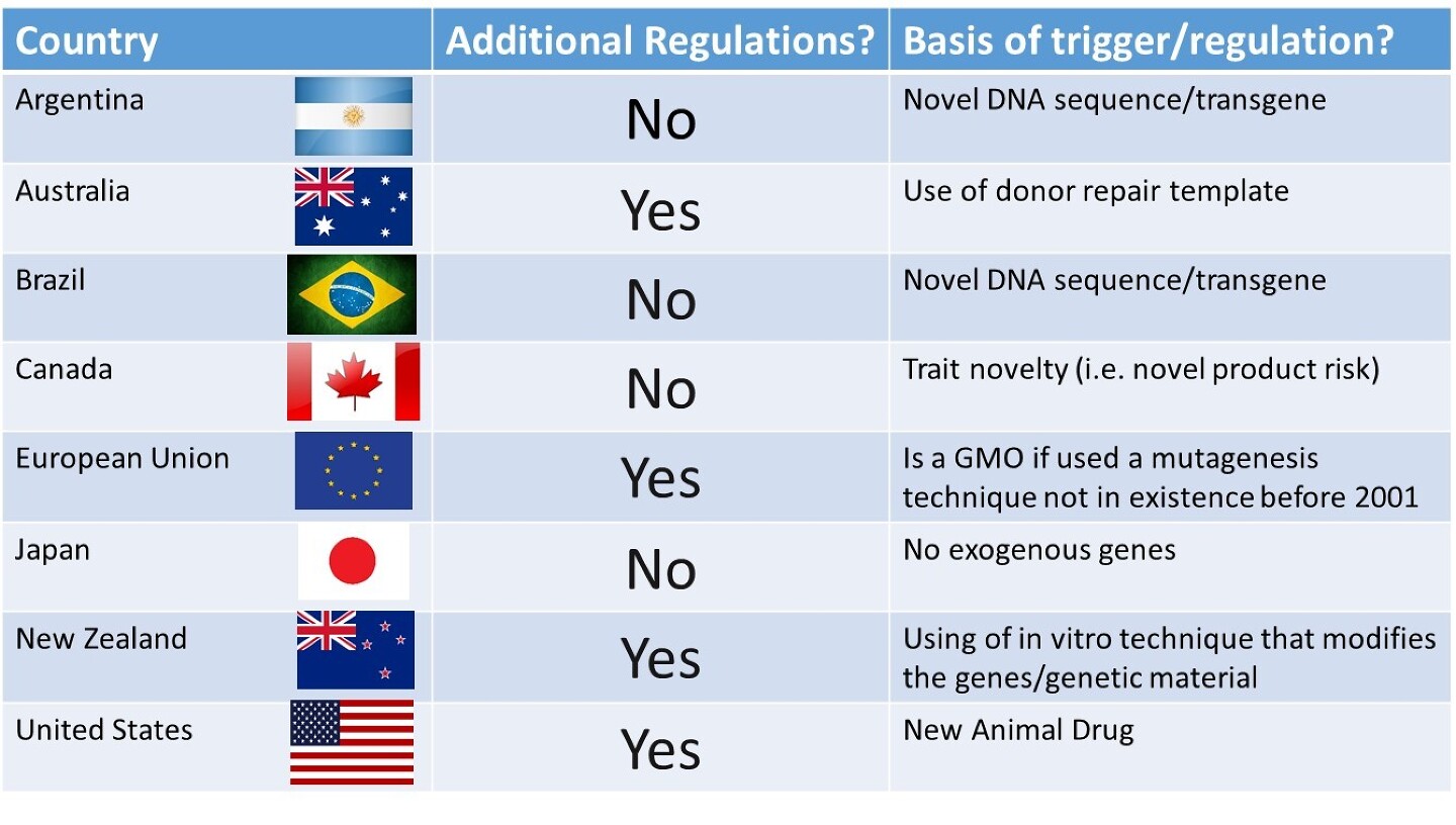 Conclusions