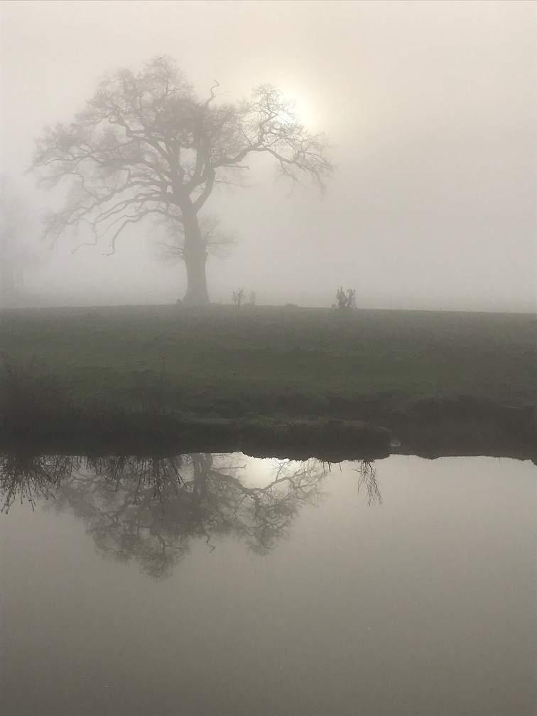 fog at hack green