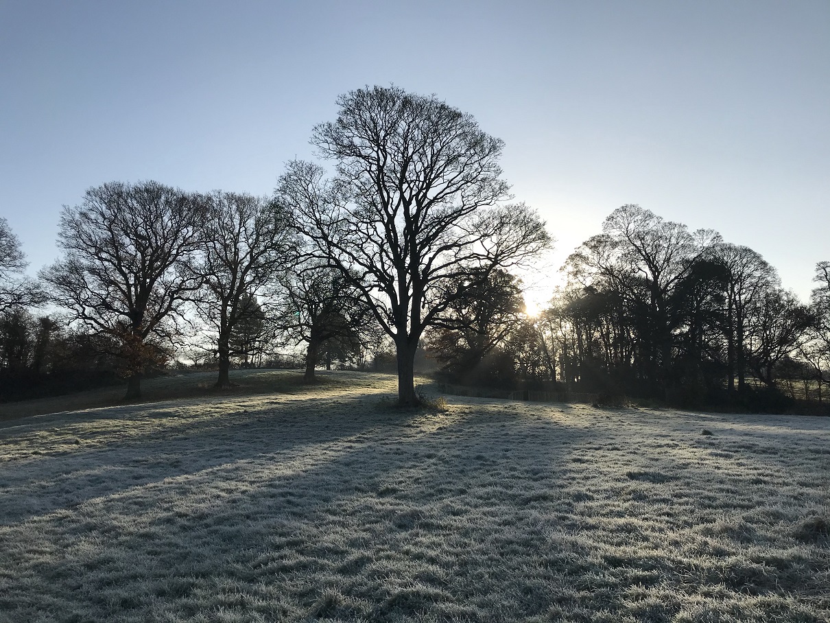 turnpike frost