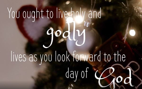 Hannah and Millie 06-12-2020