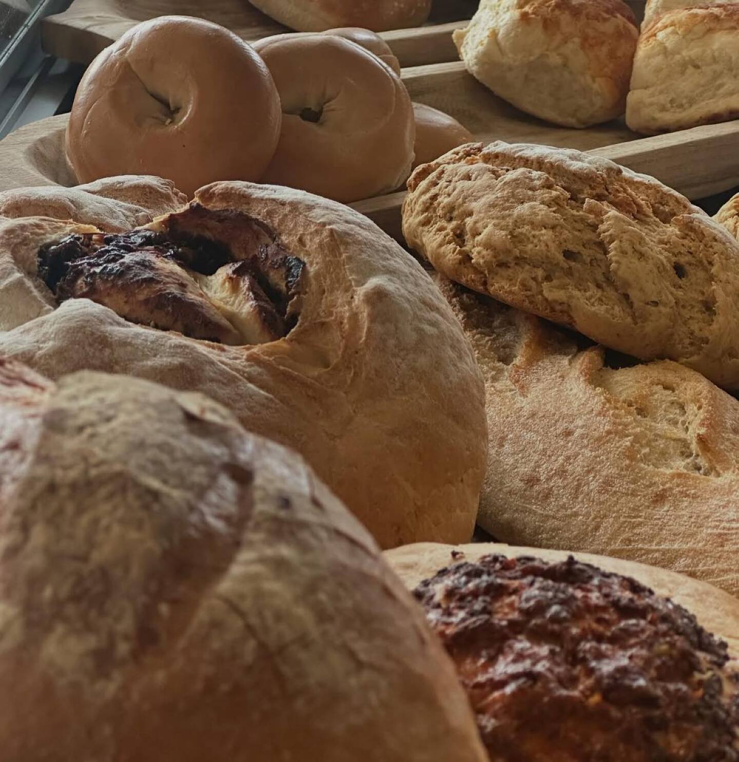 615925541_122167838132904783_8646169879088715984_n