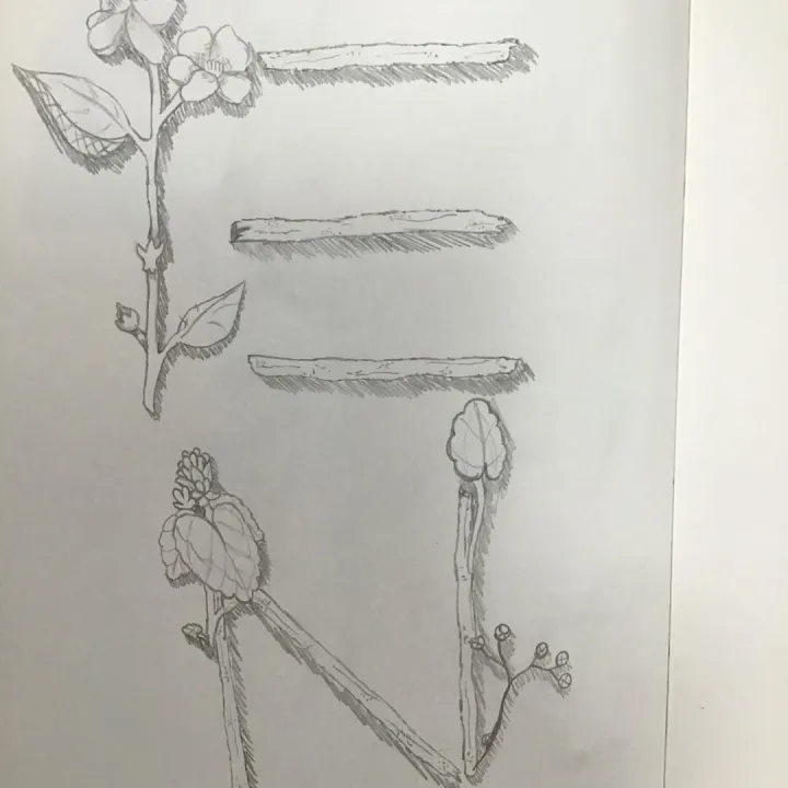 Art work