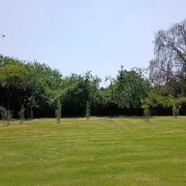 Milton Methodist Church – External 1