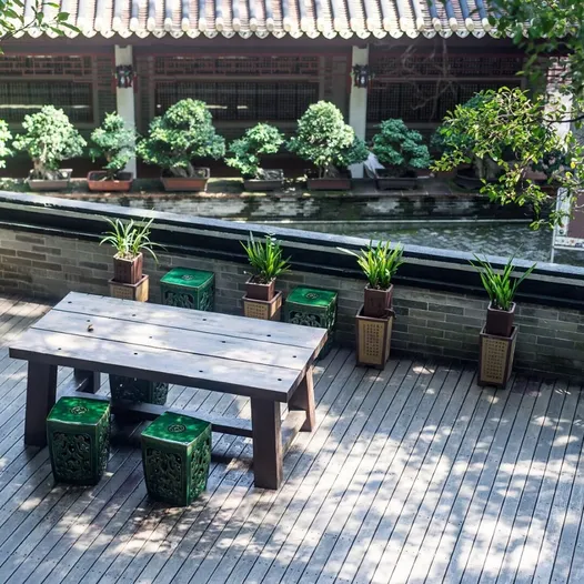 Tranquil space with plants