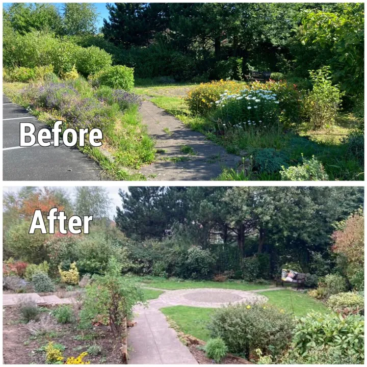 Before and After  Peace Garden